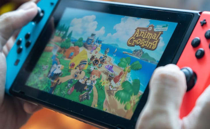 image of person playing animal crossing on nintendo switch