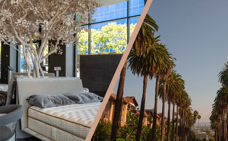 Saatva Neighborhood Spotlight: West Hollywood, Los Angeles