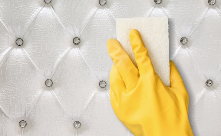 person cleaning an upholstered bed