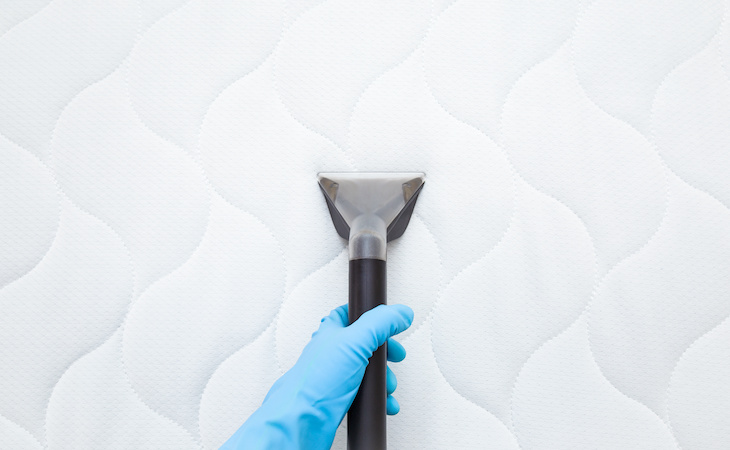 person cleaning mold on a mattress with vacuum