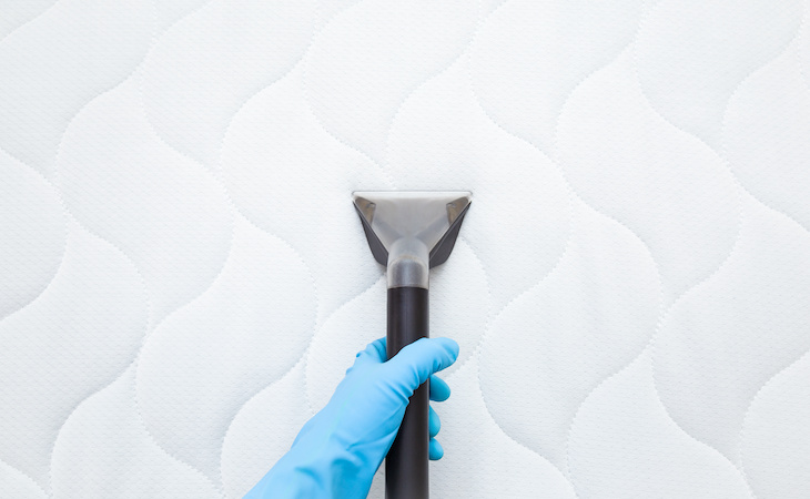 How to Get Rid of Mold on a Mattress