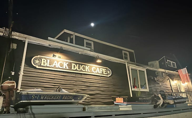 black duck cafe - westport, connecticut