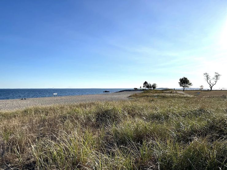 sherwood island state park - westport, connecticut