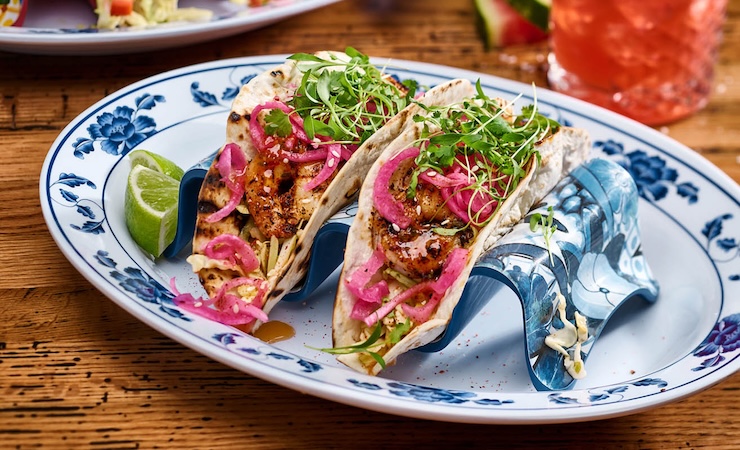 jotoro - tampa, florida