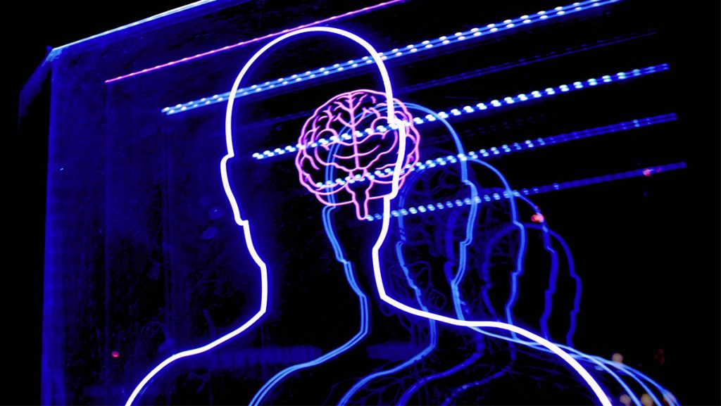 Kevin Perlmutter 010 COVER