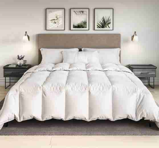 Comforter Bedroom Centered