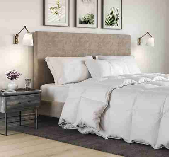 Comforter Side Extended 2