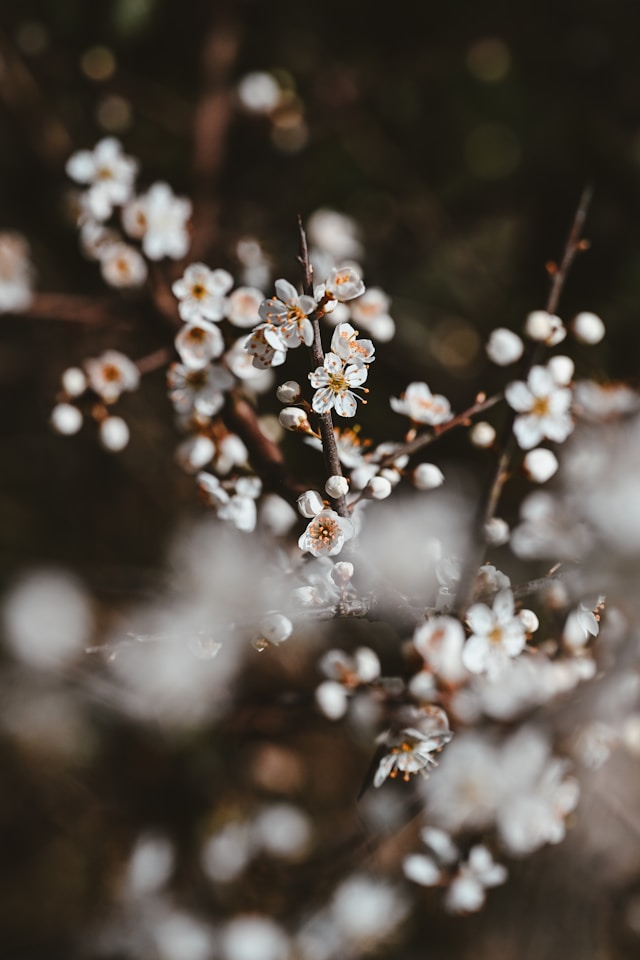 nik ZBQsnjRDM unsplash